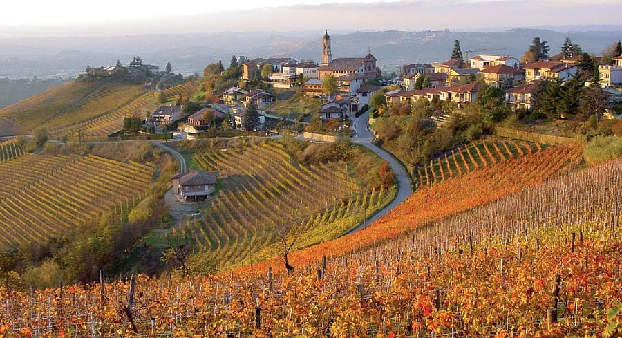 Cantina Ceste Winery
