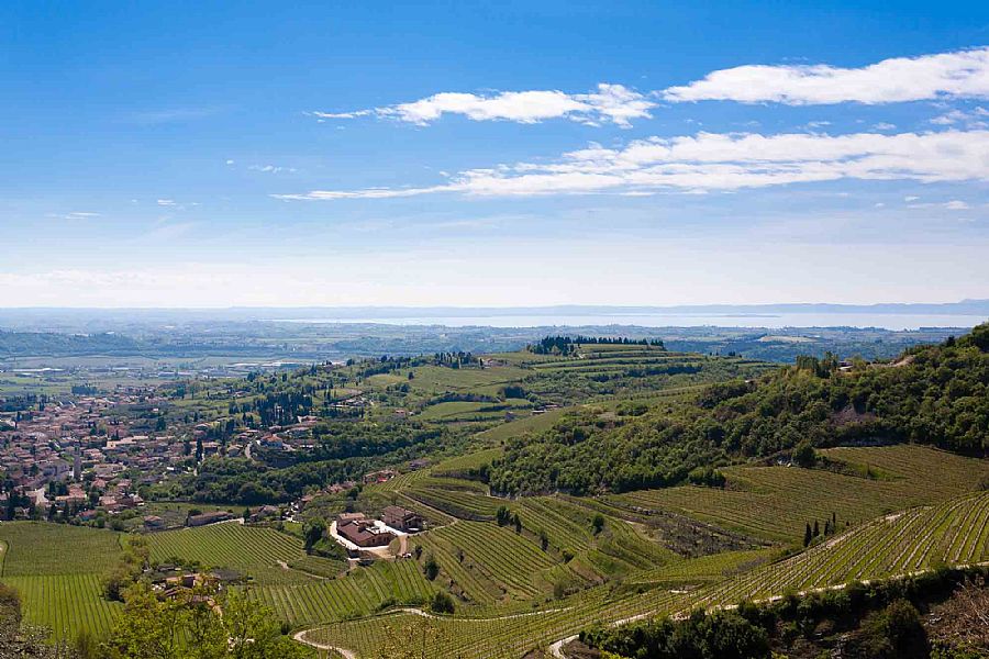 Negrar di Valpolicella