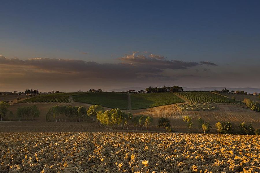 Poggio Bertaio Winery