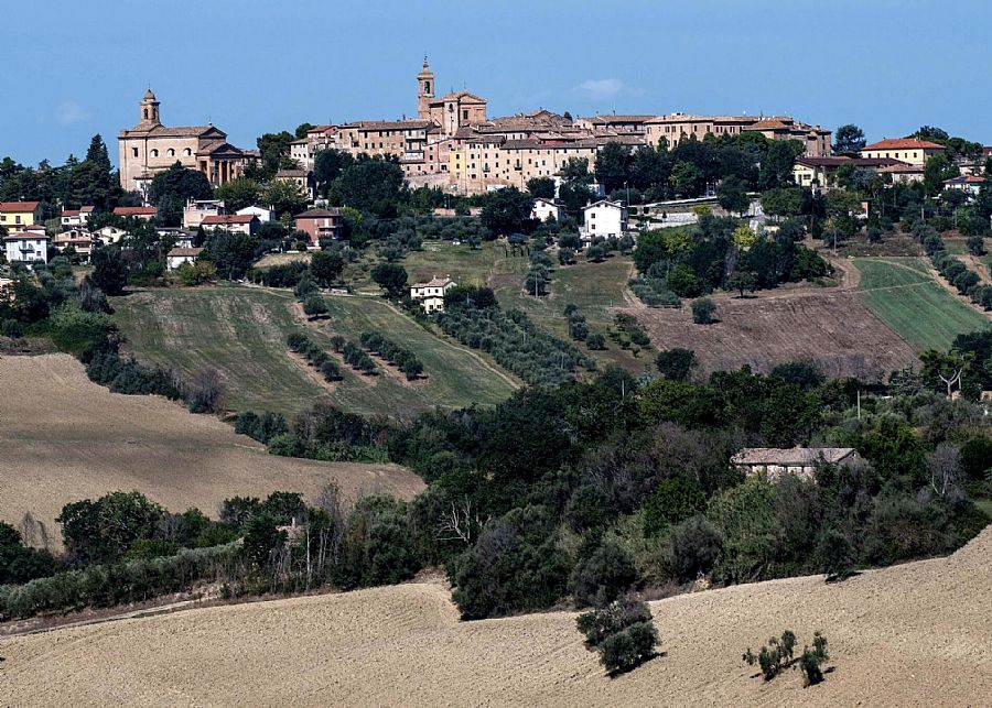 Belvedere Ostrense Belvedere Ostrense