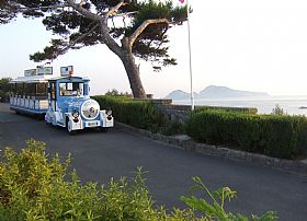 Due Golfi Train Tour