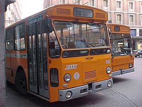 Going around the Amalfi Coast and the Sorrentine Peninsula by bus